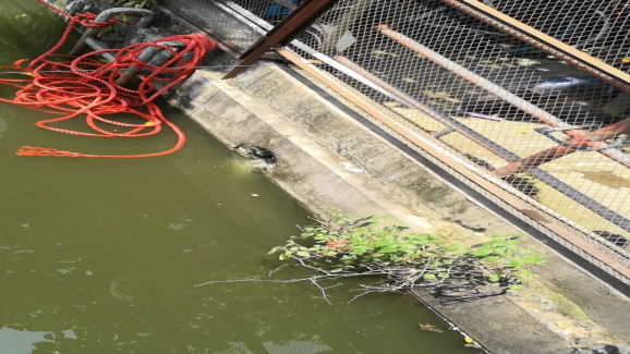 ���ι���|UB8���ι���|��������δ��