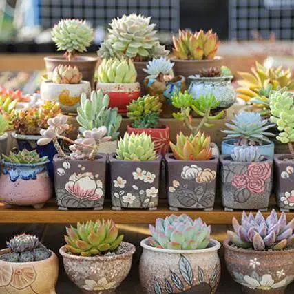 ���ι���|UB8���ι���|��������δ��