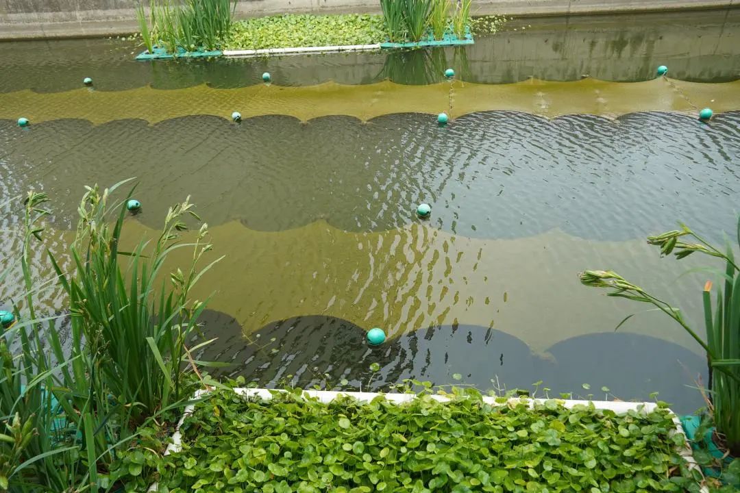 ���ι���|UB8���ι���|��������δ��