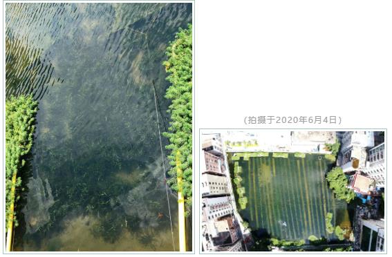 ���ι���|UB8���ι���|��������δ��