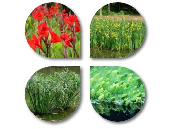 ���ι���|UB8���ι���|��������δ��