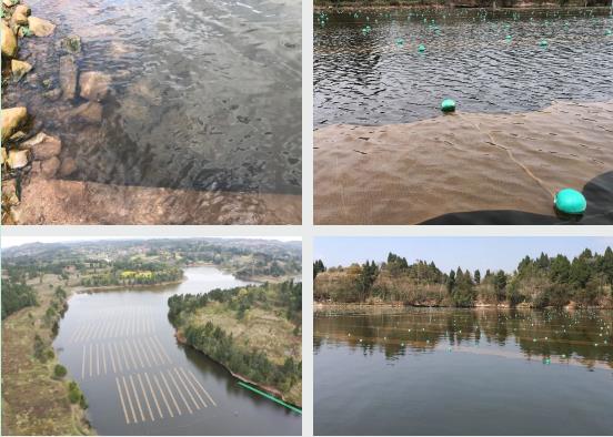 ���ι���|UB8���ι���|��������δ��