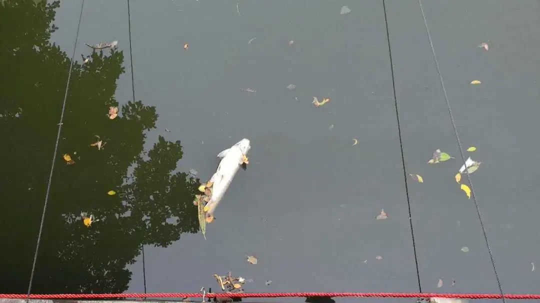 ���ι���|UB8���ι���|��������δ��