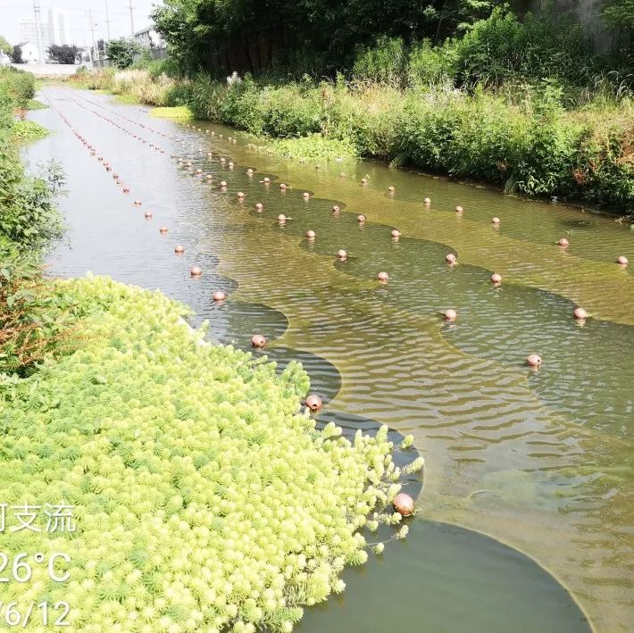 ����С���õ�13�� | ˮ���óͷ�ҩ��֪����