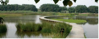 ���ι���|UB8���ι���|��������δ��