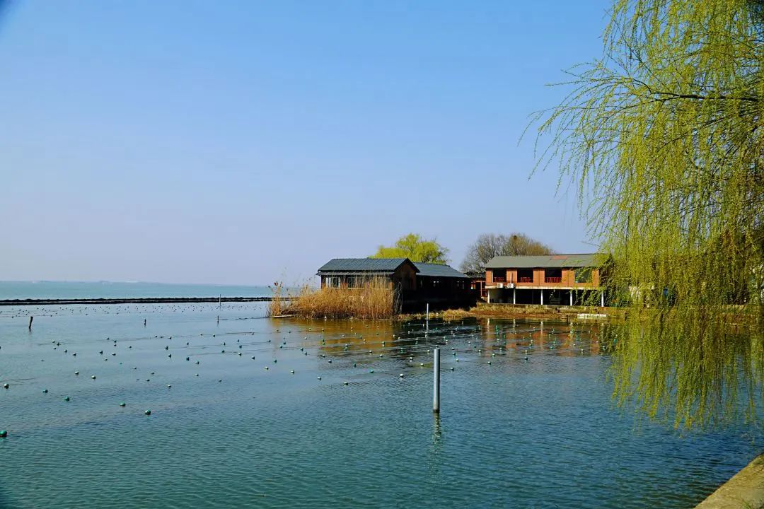 ���ι���|UB8���ι���|��������δ��