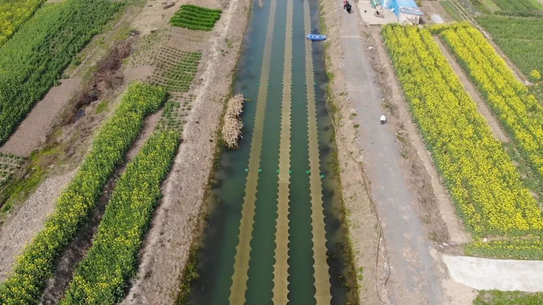 ���ι���|UB8���ι���|��������δ��