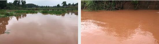 ���ι���|UB8���ι���|��������δ��