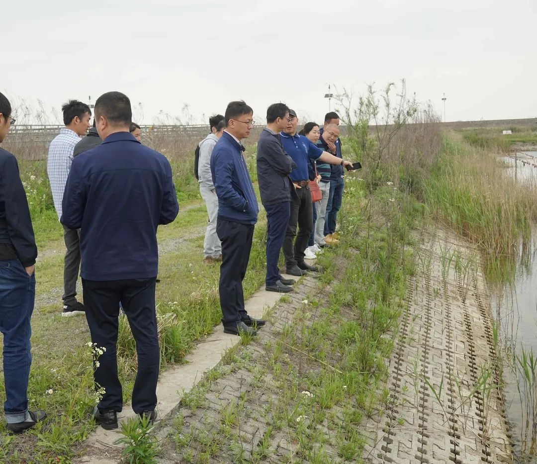 ���ι���|UB8���ι���|��������δ��