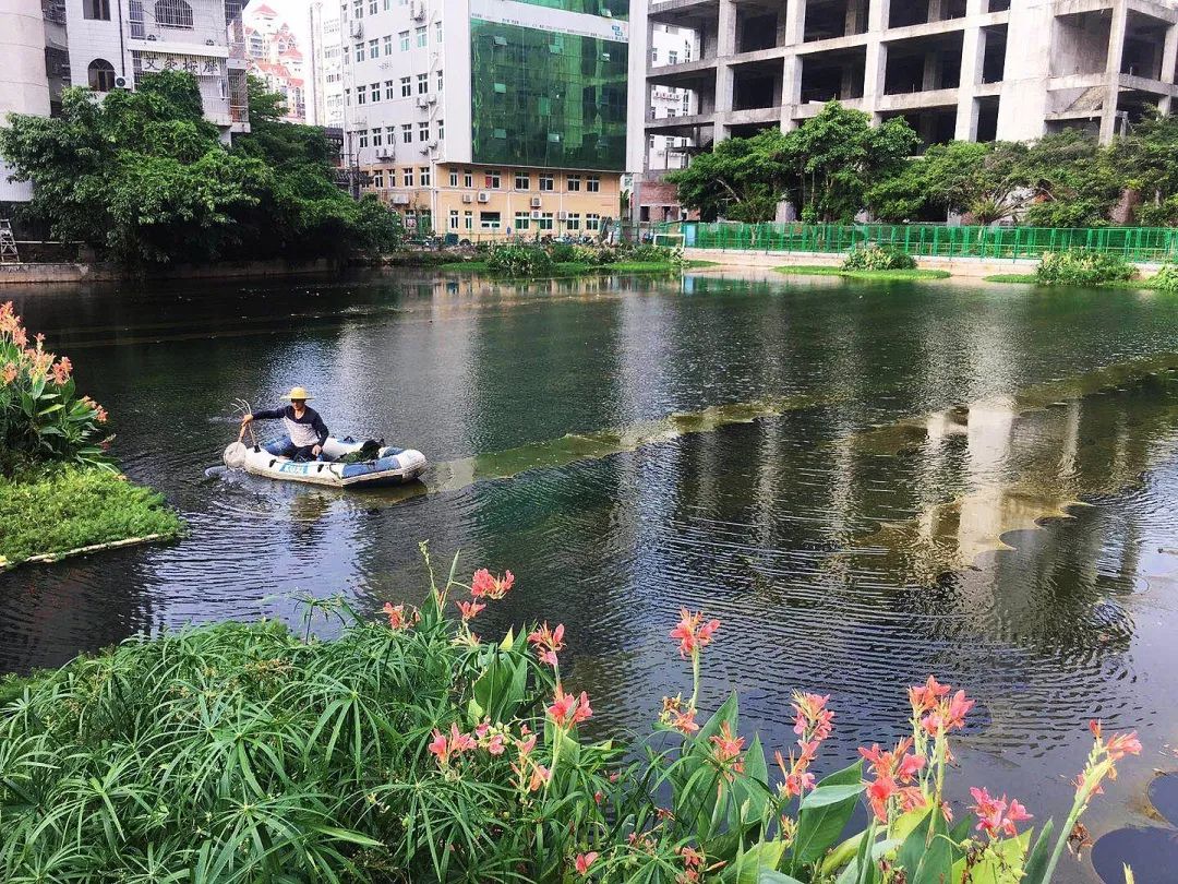 ���ι���|UB8���ι���|��������δ��