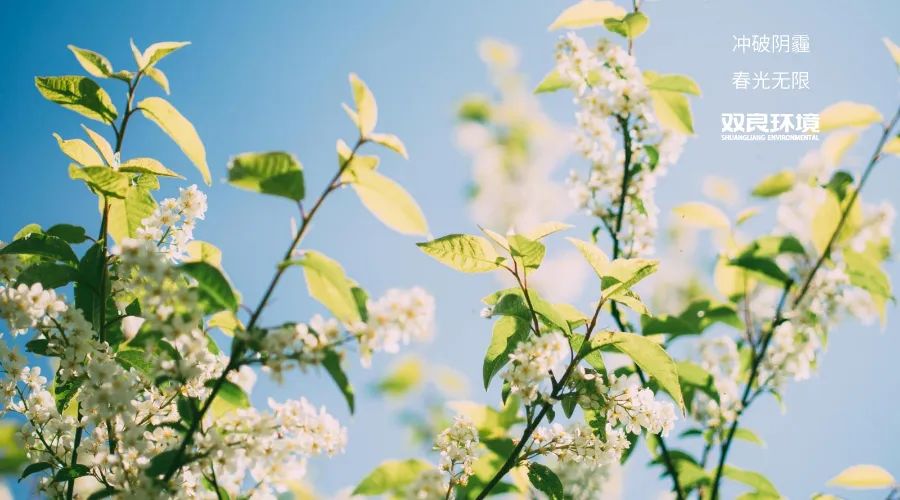 ���ι���|UB8���ι���|��������δ��