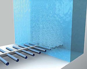 ���ι���|UB8���ι���|��������δ��