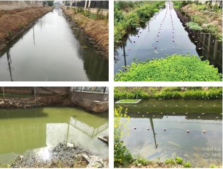 ���ι���|UB8���ι���|��������δ��