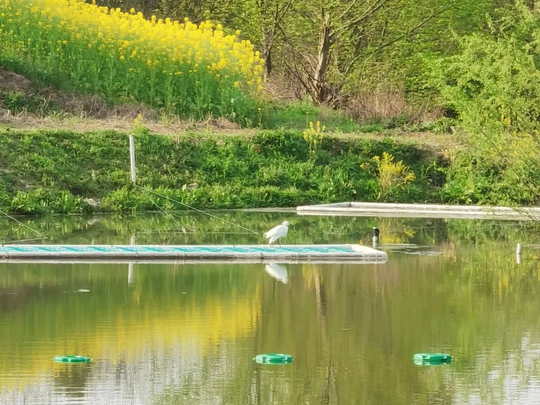 ���ι���|UB8���ι���|��������δ��