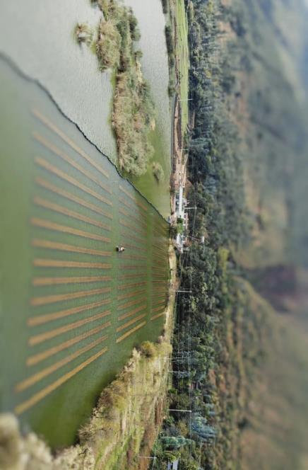 ���ι���|UB8���ι���|��������δ��