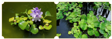 ���ι���|UB8���ι���|��������δ��