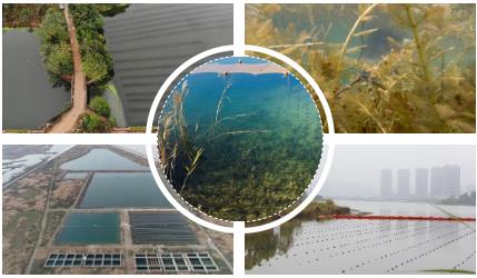 ����:��ˮ�塰�������������