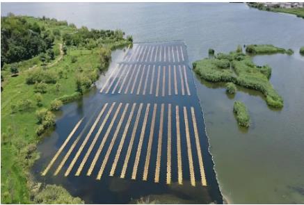 ���ι���|UB8���ι���|��������δ��