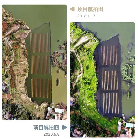 ���ι���|UB8���ι���|��������δ��