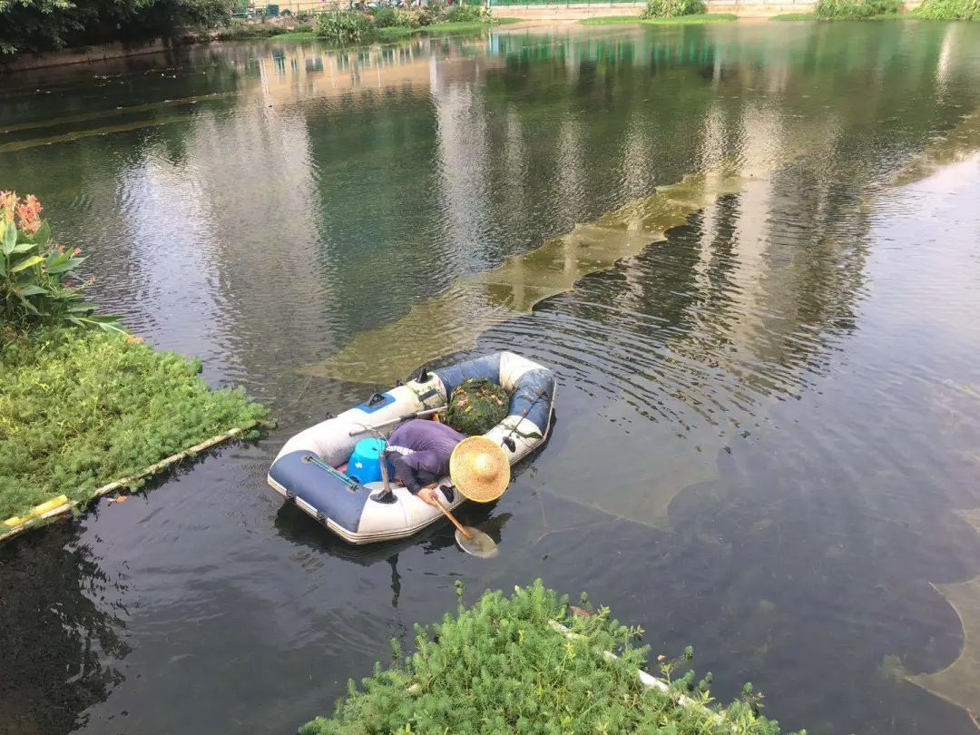 ���ι���|UB8���ι���|��������δ��