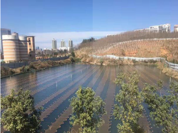 ����С���õ�18�� | ���������Ⱦ�������գ�����