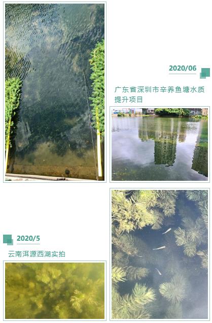 ���������Ⱦ�������գ�����