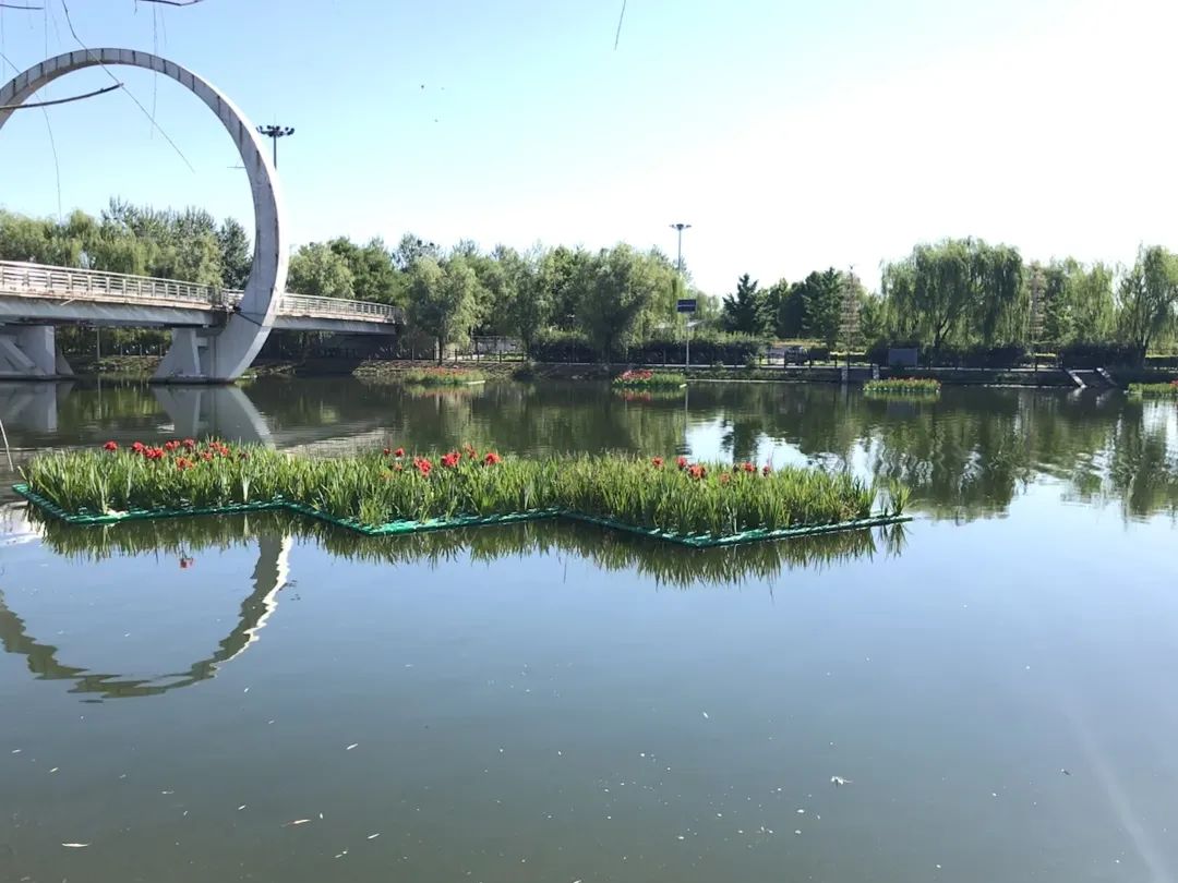 ����С���õ�21�� | ��Ҫ��ʪ��ֲ��