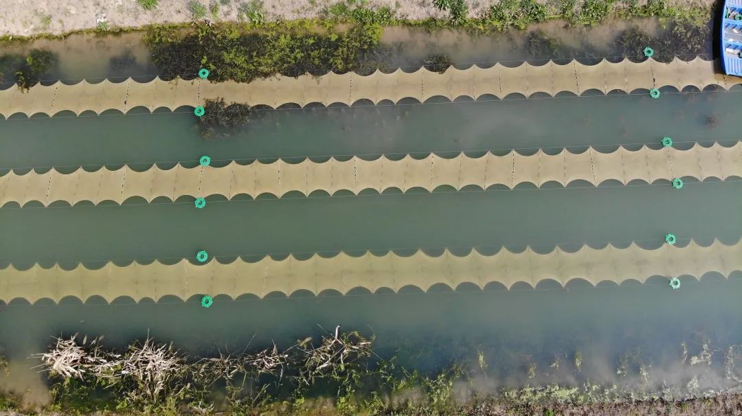 ���ι���|UB8���ι���|��������δ��