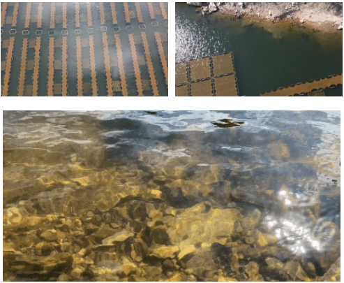 ���ι���|UB8���ι���|��������δ��