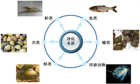 ���ι���|UB8���ι���|��������δ��