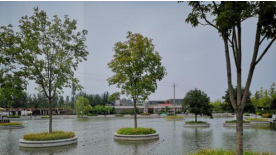 ���������Ⱦ�������գ�����