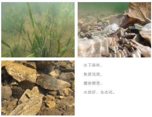 ���ι���|UB8���ι���|��������δ��