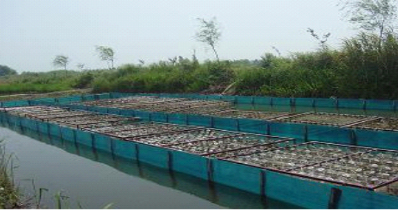 ���ι���|UB8���ι���|��������δ��