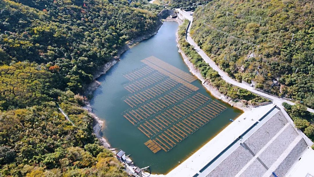 ���ι���|UB8���ι���|��������δ��