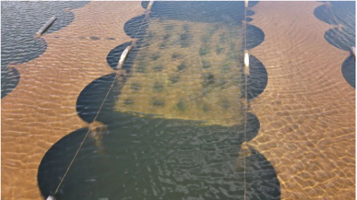 ���ι���|UB8���ι���|��������δ��