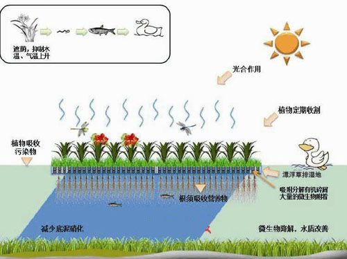 ���ι���|UB8���ι���|��������δ��