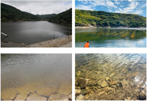 ���ι���|UB8���ι���|��������δ��