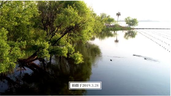 ���ι���|UB8���ι���|��������δ��