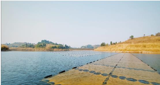 ���ι���|UB8���ι���|��������δ��