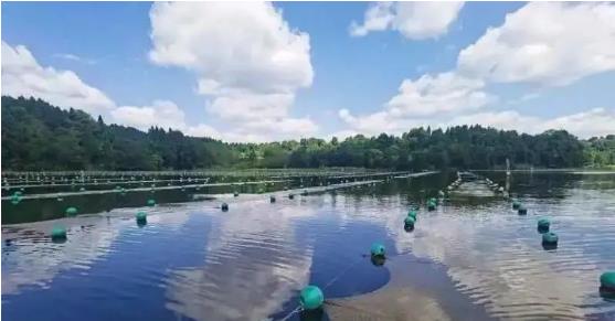 �����α�������������������Ϊ�����ػ�һ����ˮ�㽭�����Ｏ��ʽ����ˮˮԴ���ȹ̴��