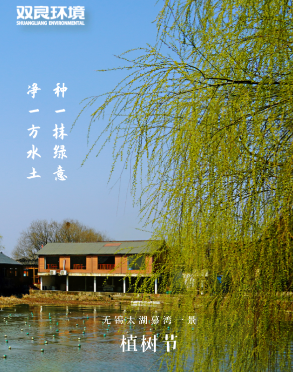 �������ҹ���43��ֲ����