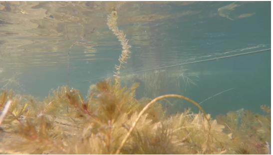 ����ˮ�����޸�ˮ��̬���ι���ub8ʹ����