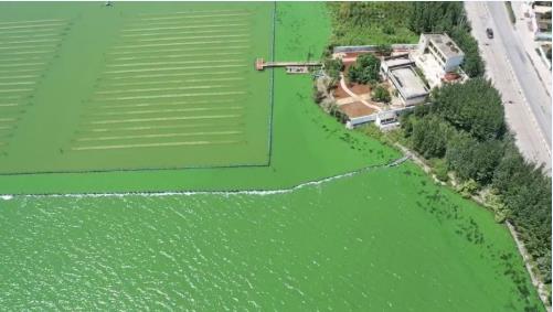 ���ϴ�ѧ�Ż����о��Ŷӽ���ʯīϩ��߻����նԸ���Ⱦ��Ӫ��������ˮ������ʵ���о�Ч��