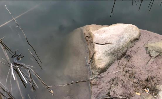 ���ι���|UB8���ι���|��������δ��