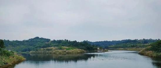 �����α�������������������Ϊ�����ػ�һ����ˮ�㽭�����Ｏ��ʽ����ˮˮԴ���ȹ̴��