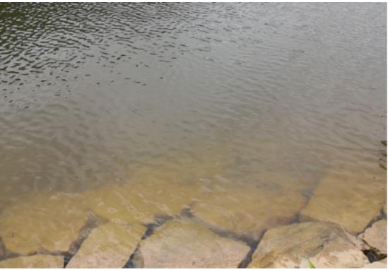 ���ι���|UB8���ι���|��������δ��