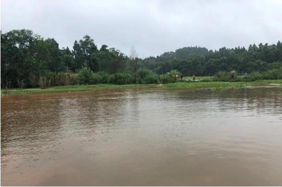 ���ι���|UB8���ι���|��������δ��