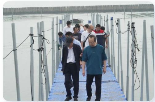 ���ι���|UB8���ι���|��������δ��