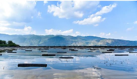 ���ι���|UB8���ι���|��������δ��