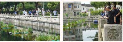 ���ι���|UB8���ι���|��������δ��